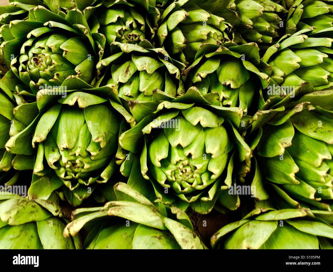 Carciofi - Immagine stock catturata con smartphone