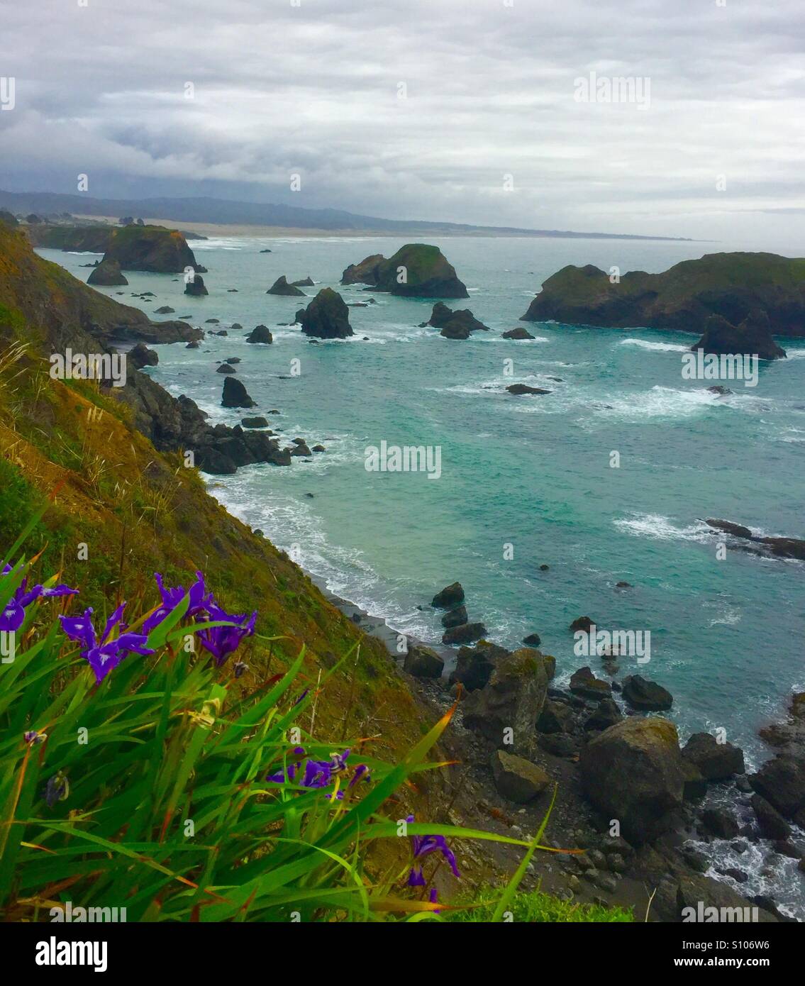 Northern California Coast Foto Stock