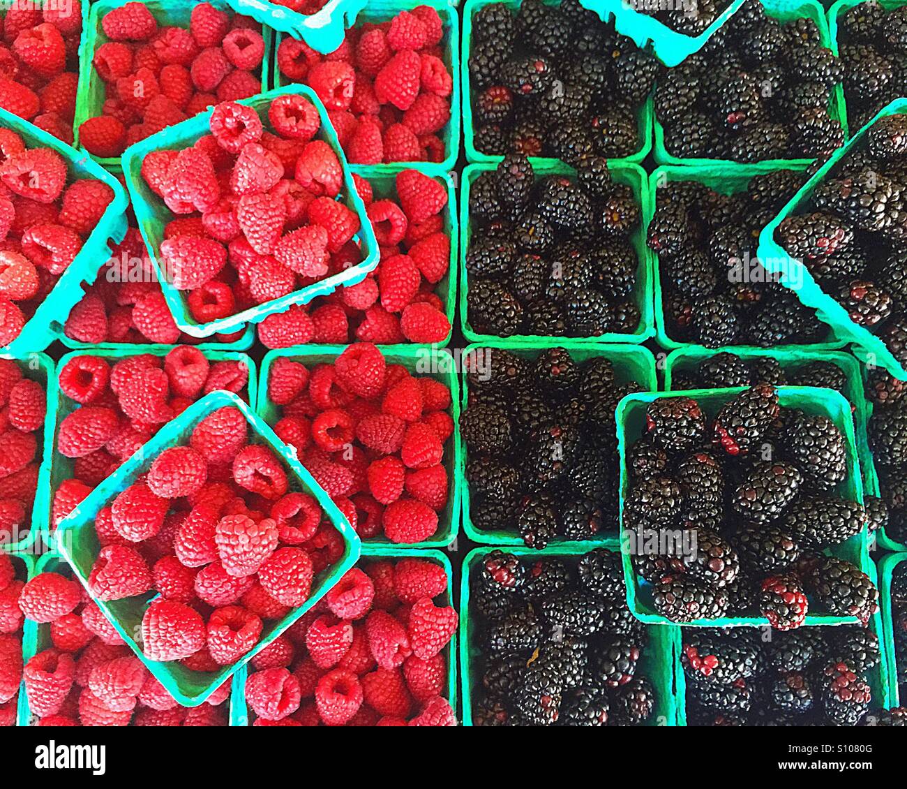 Lampone vs Blackberry, bel colore e frutta fresca. Foto Stock