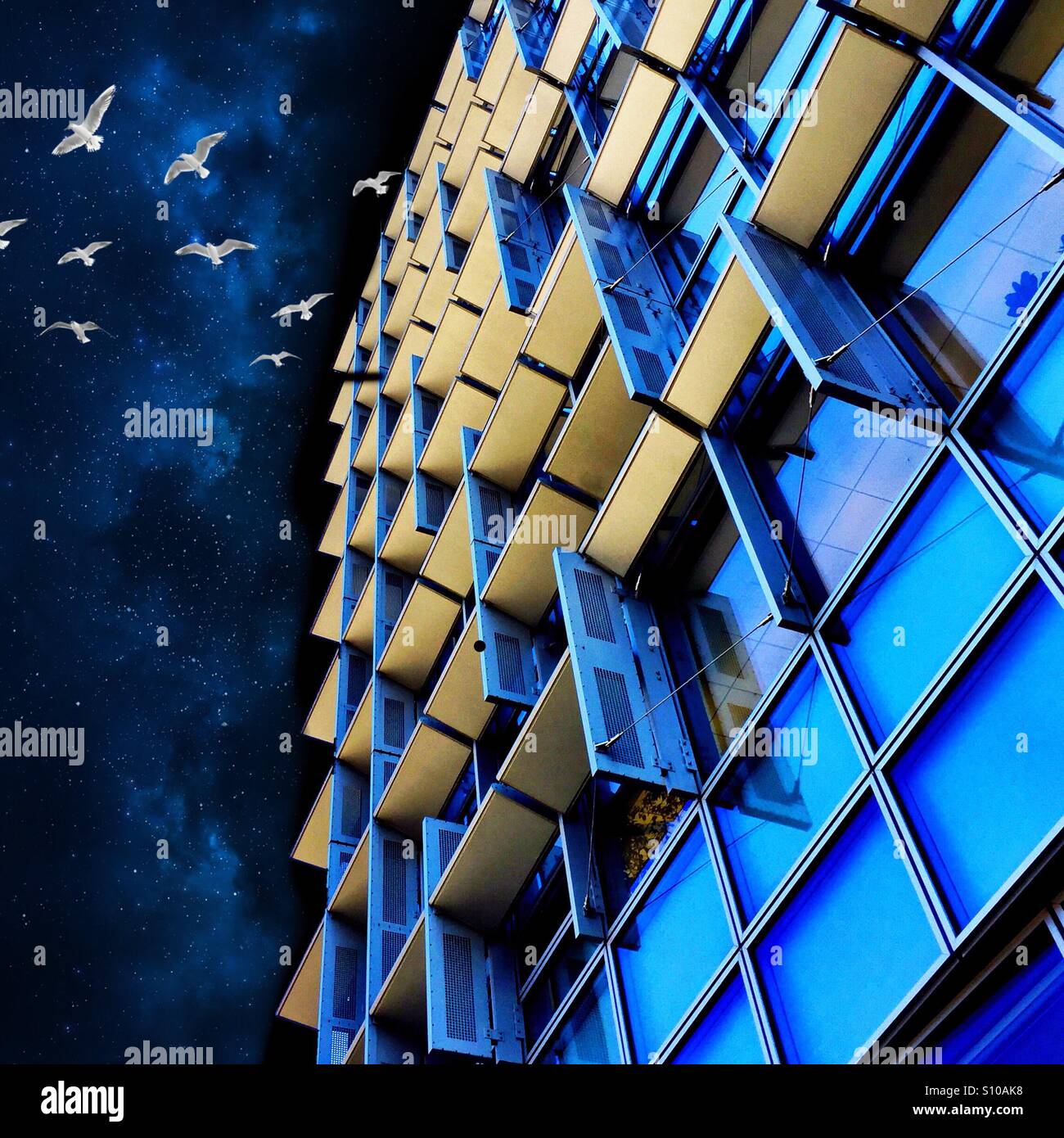 Un astratto arte digitale di un edificio per uffici con gli uccelli in volo da esso attraverso un cielo notturno. Foto Stock