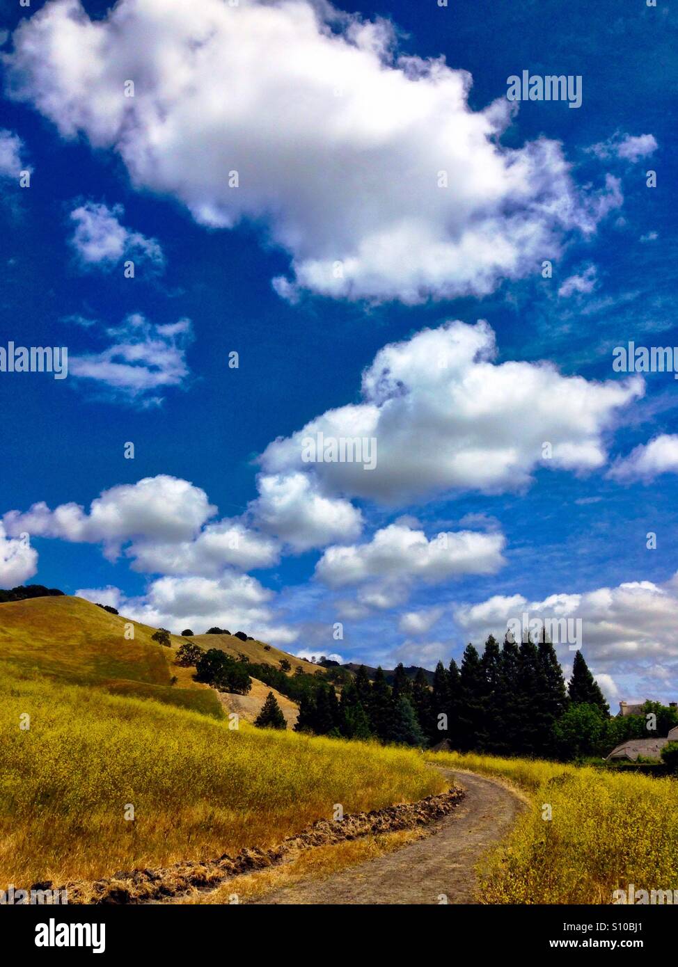 Puffy, nuvole bianche su colline erbose - Immagine stock catturata con smartphone