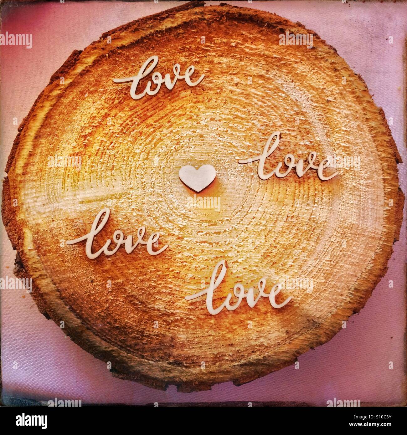 Amore di legno. Una fetta di legno con le parole di amore e di un cuore sulla parte superiore. Foto Stock