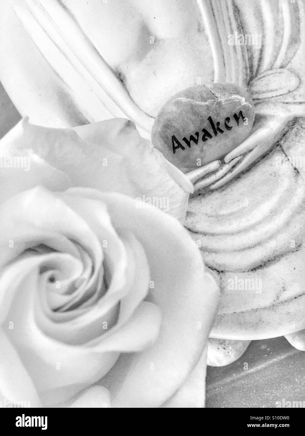 Risvegliare il Buddha di Rose - Immagine stock catturata con smartphone