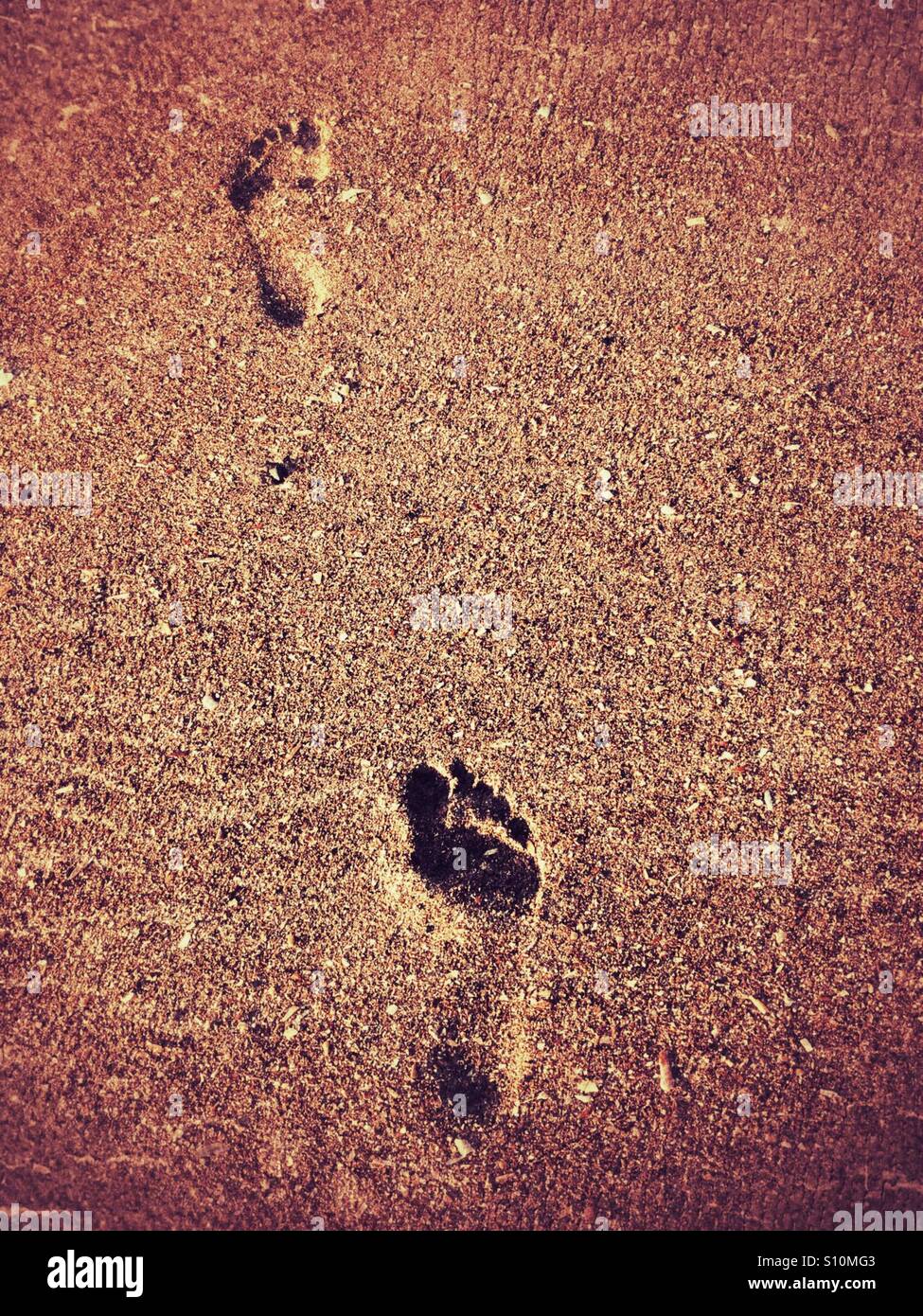 Impronte sulla spiaggia Foto Stock