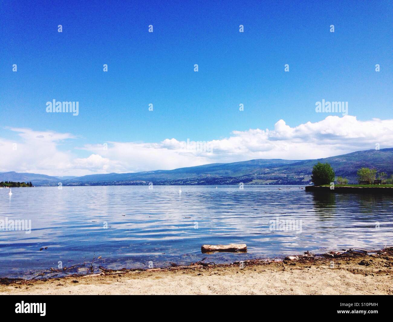 Lago Okanagan, West Kelowna, British Columbia, Canada Foto Stock