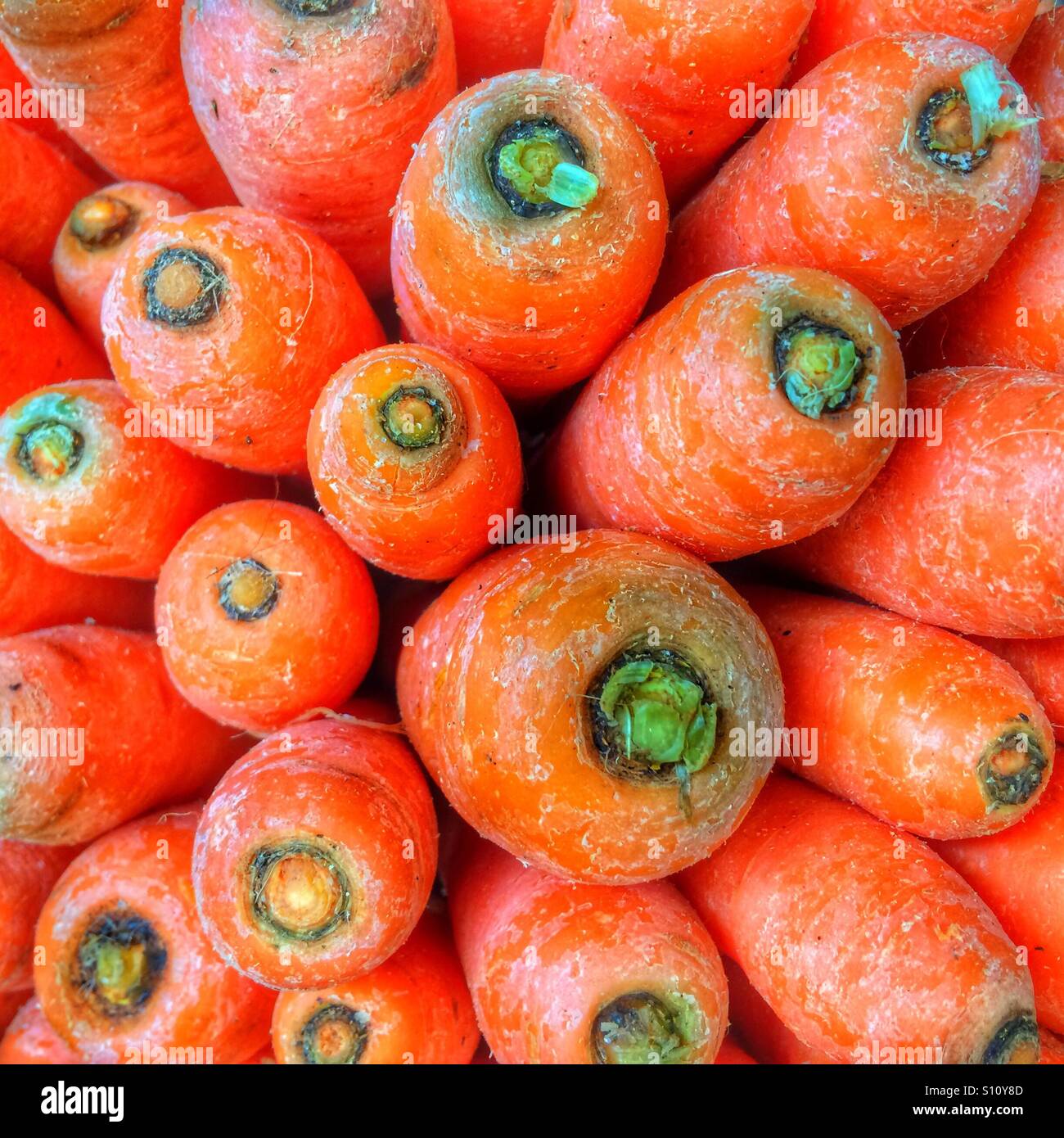 Abstract di carote Foto Stock