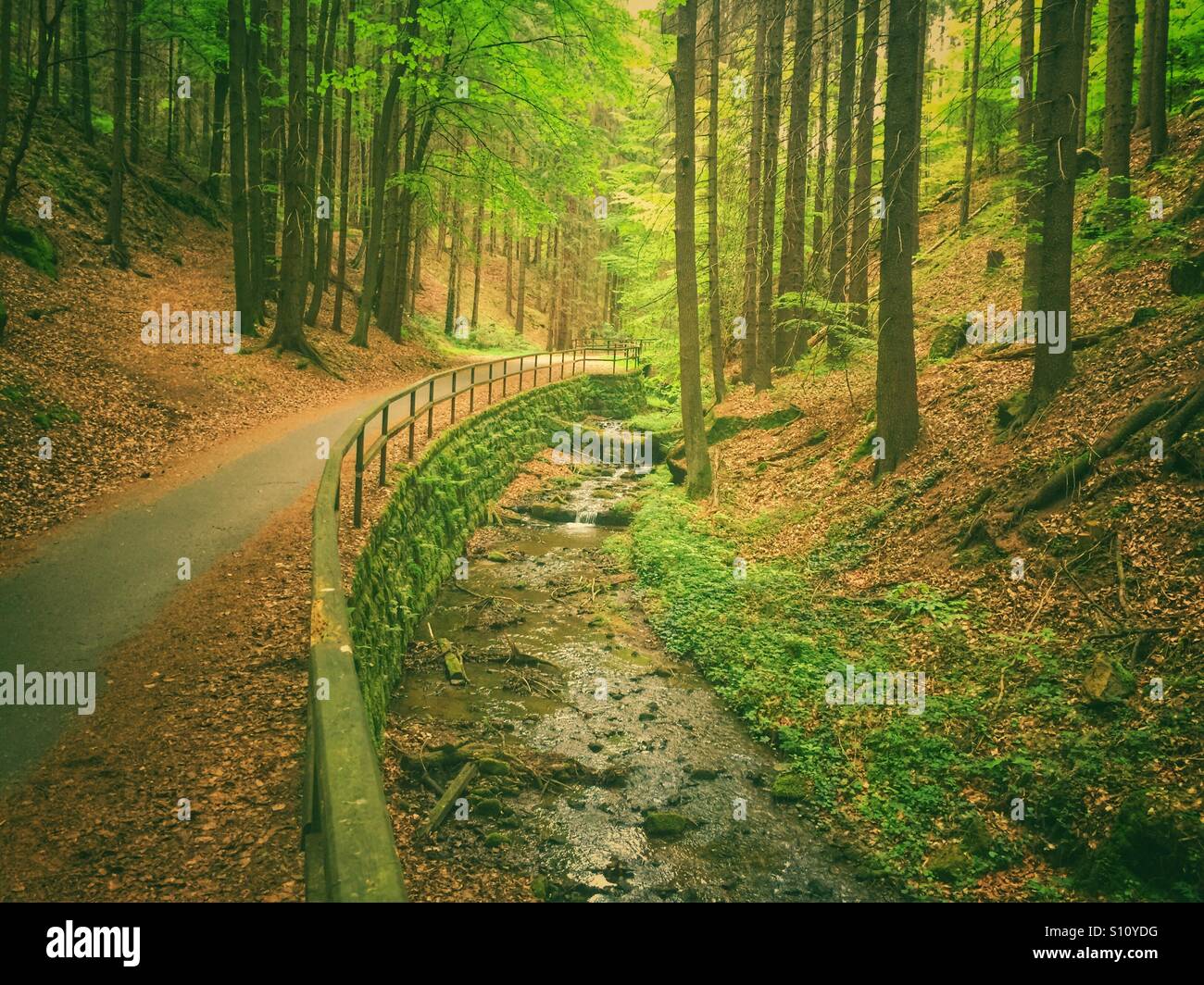 Svizzera sassone parco nazionale di Germania - Immagine stock catturata con smartphone