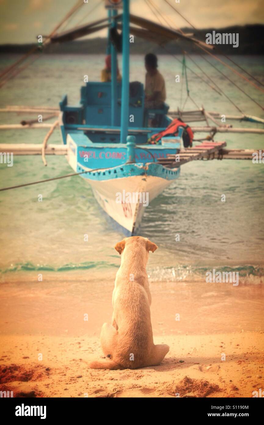 Dog sitter in spiaggia e guardando l'uomo in barca - Immagine stock catturata con smartphone