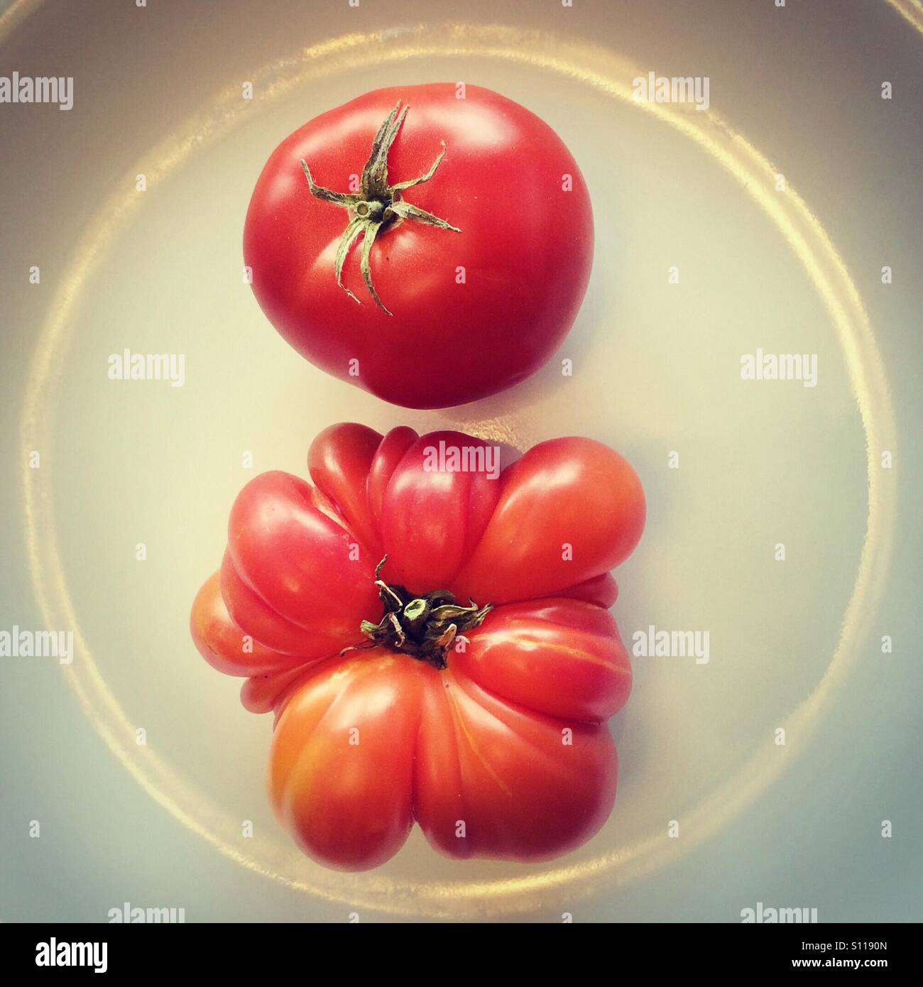 Homegrown pomodori, commerciale ibrido su top, cimelio di famiglia sul fondo Foto Stock
