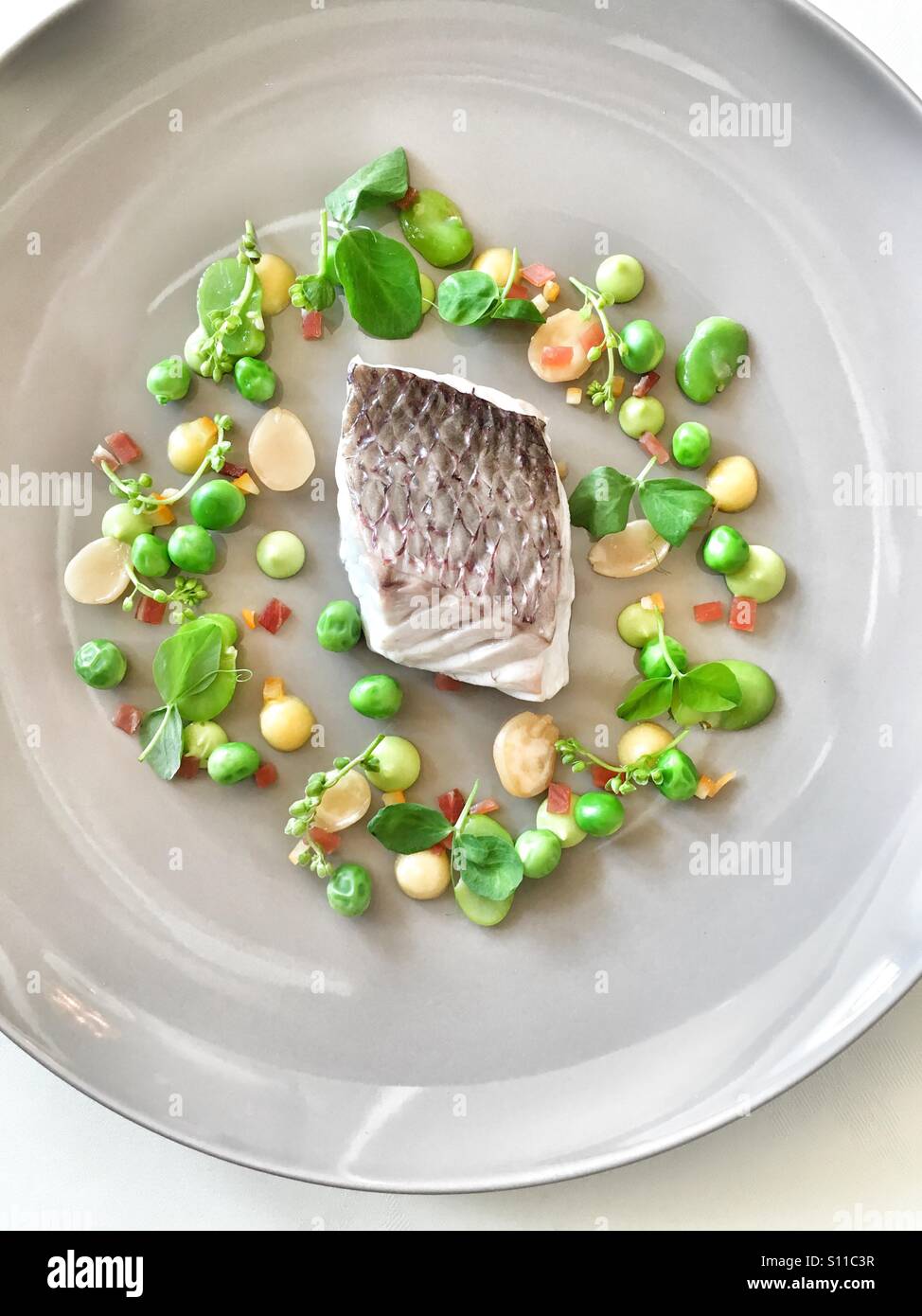 Filetto di pesce con molla di verdure di stagione Foto Stock