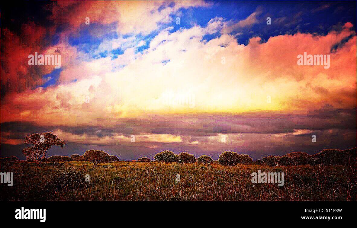 Savana Africana, ISimangaliso Wetland Park, KwaZulu Natal, Sud Africa - Immagine stock catturata con smartphone