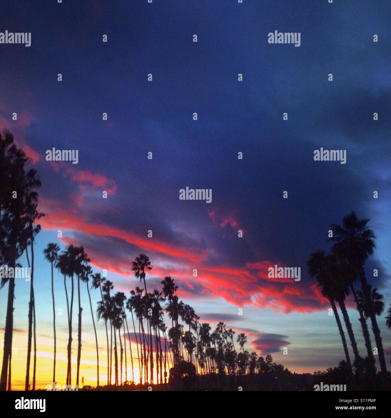 Il tramonto sopra le nuvole palme Foto Stock