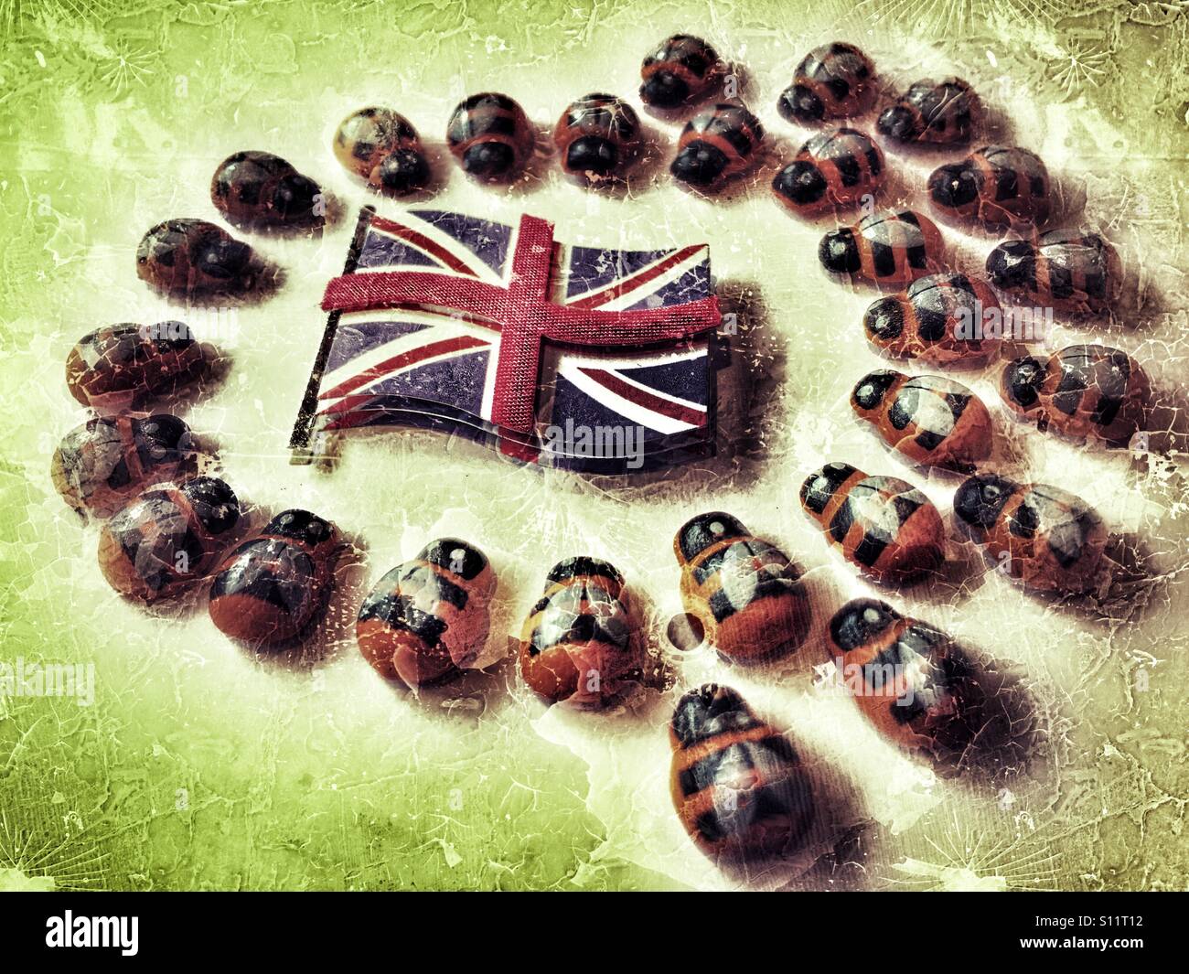 Union Jack flag circondato da uno sciame di api 27. Concetto. - Immagine stock catturata con smartphone