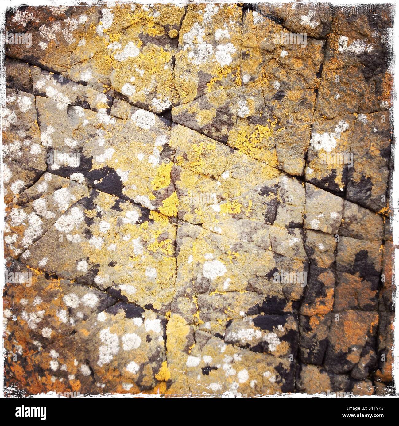 Licheni e crepe nella roccia - Immagine stock catturata con smartphone