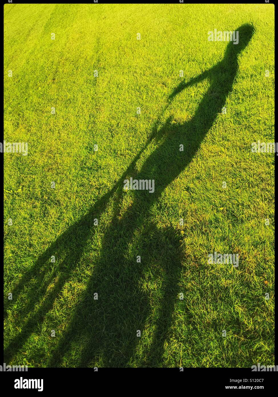 La lunga ombra di un 6 anno vecchio ragazzo sulla sua bicicletta in un aperto area d'erba. Una foto con area per la copia. Credito foto - © COLIN HOSKINS. Foto Stock