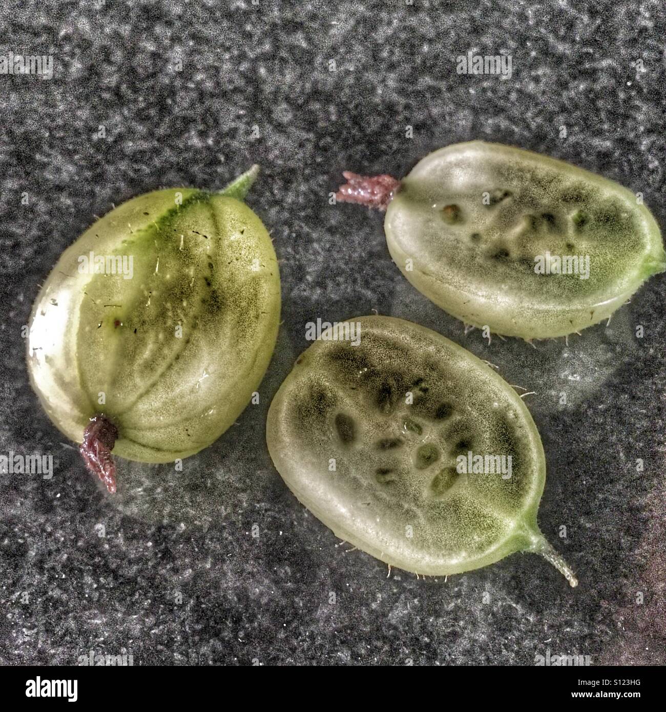 Uva spina - Immagine stock catturata con smartphone