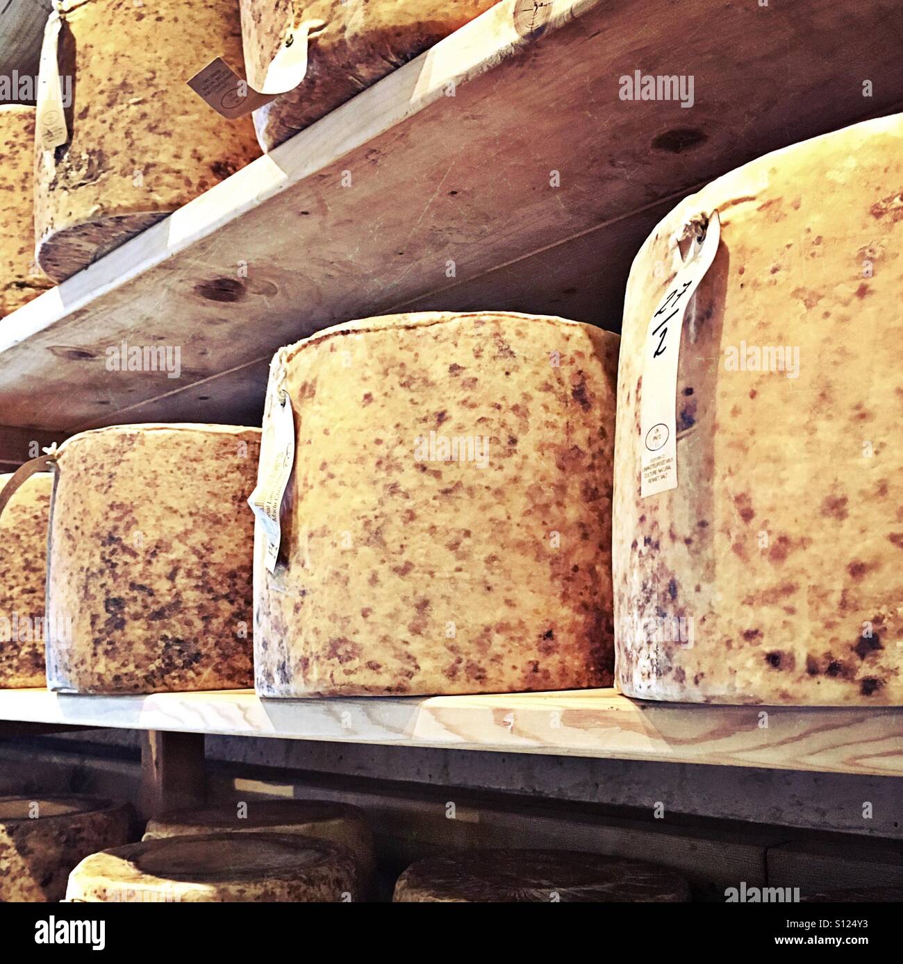 Ruote di formaggio su scaffali Foto Stock
