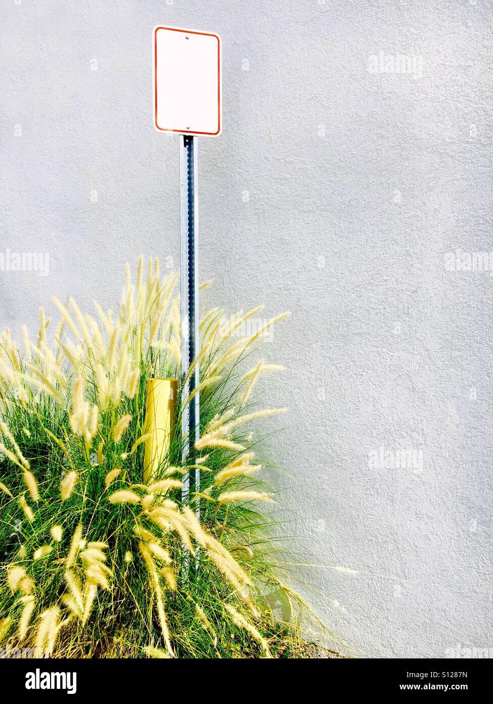Segno bianco al di fuori del mare di avena - Immagine stock catturata con smartphone