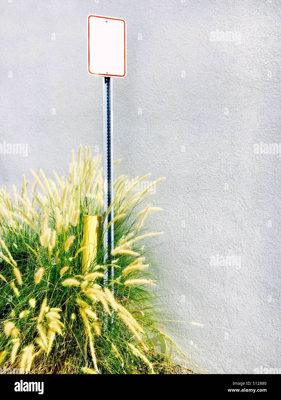 Segno bianco al di fuori del mare di avena - Immagine stock catturata con smartphone