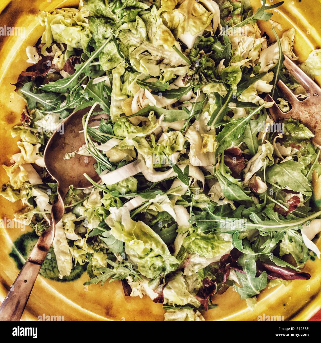 Foglia mista insalata in una ciotola Foto Stock