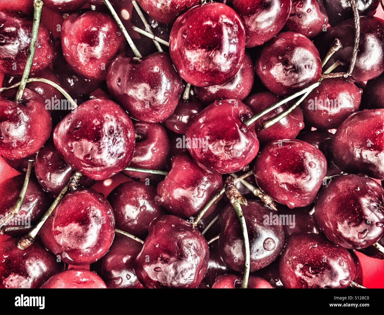 Ciliegie Foto Stock