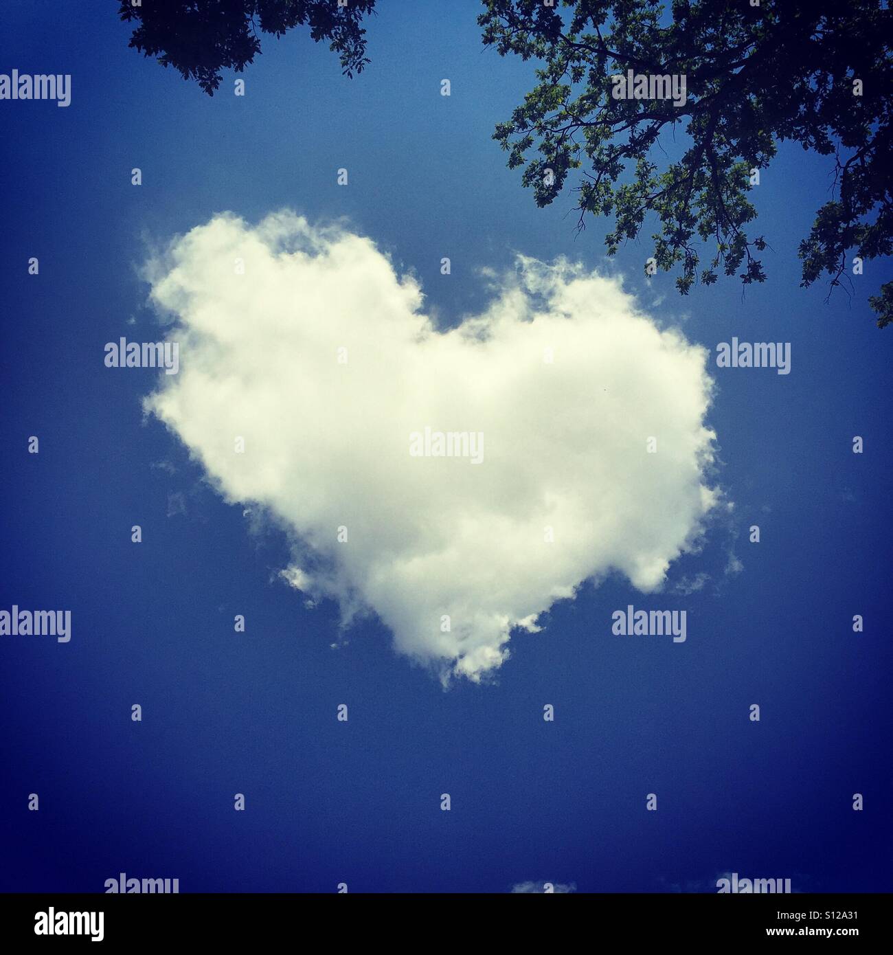 Una forma di cuore il cloud contro un luminoso cielo blu. Foto Stock