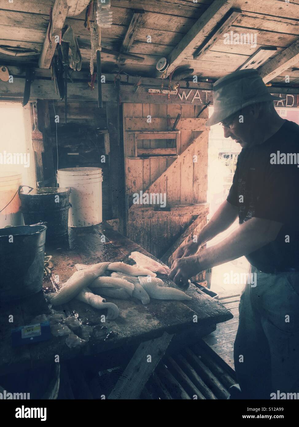 Un Fisher prepara la sua cattura in una fase di pesca sull'Atlantico. - Immagine stock catturata con smartphone