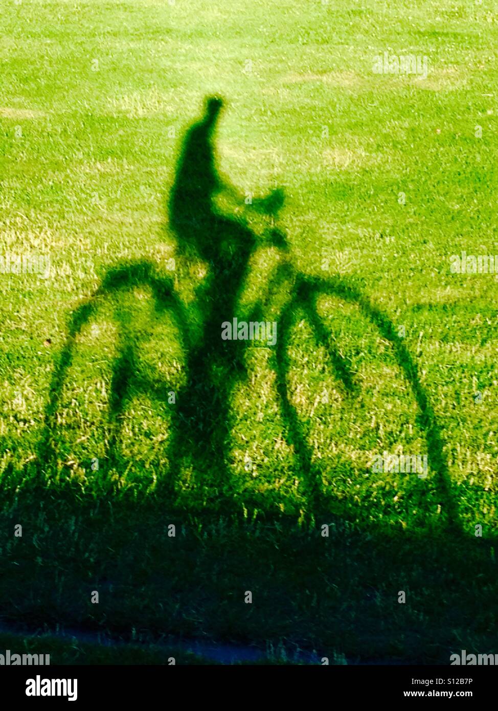 Ciclista getta un' ombra in un prato di erba. Foto Stock