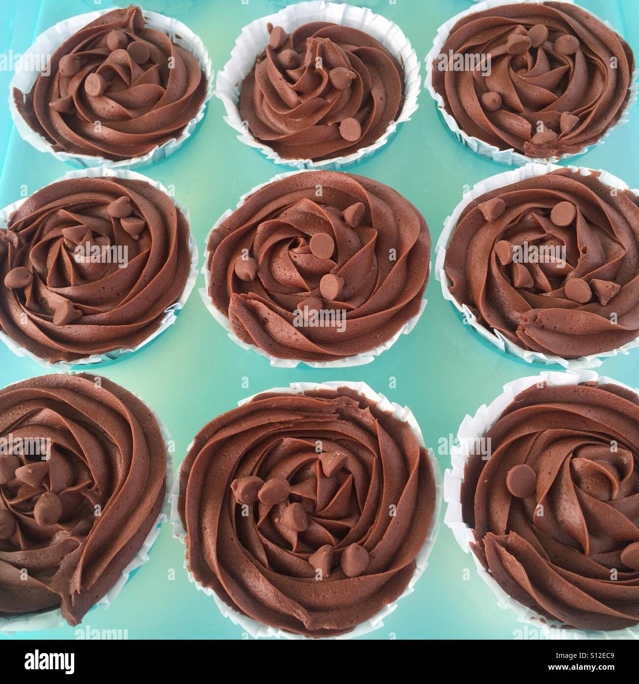 Tazza di cioccolato torte in un vassoio Foto Stock