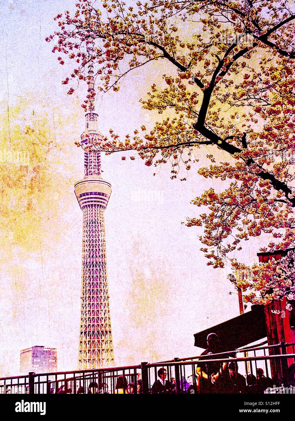 Tokyo Skytree in Sakura Bloom Foto Stock