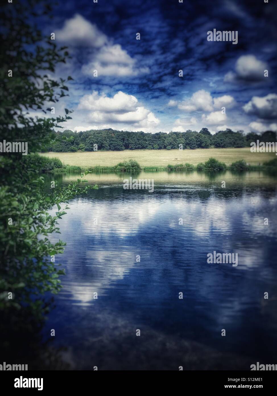 Panshanger Park - Immagine stock catturata con smartphone