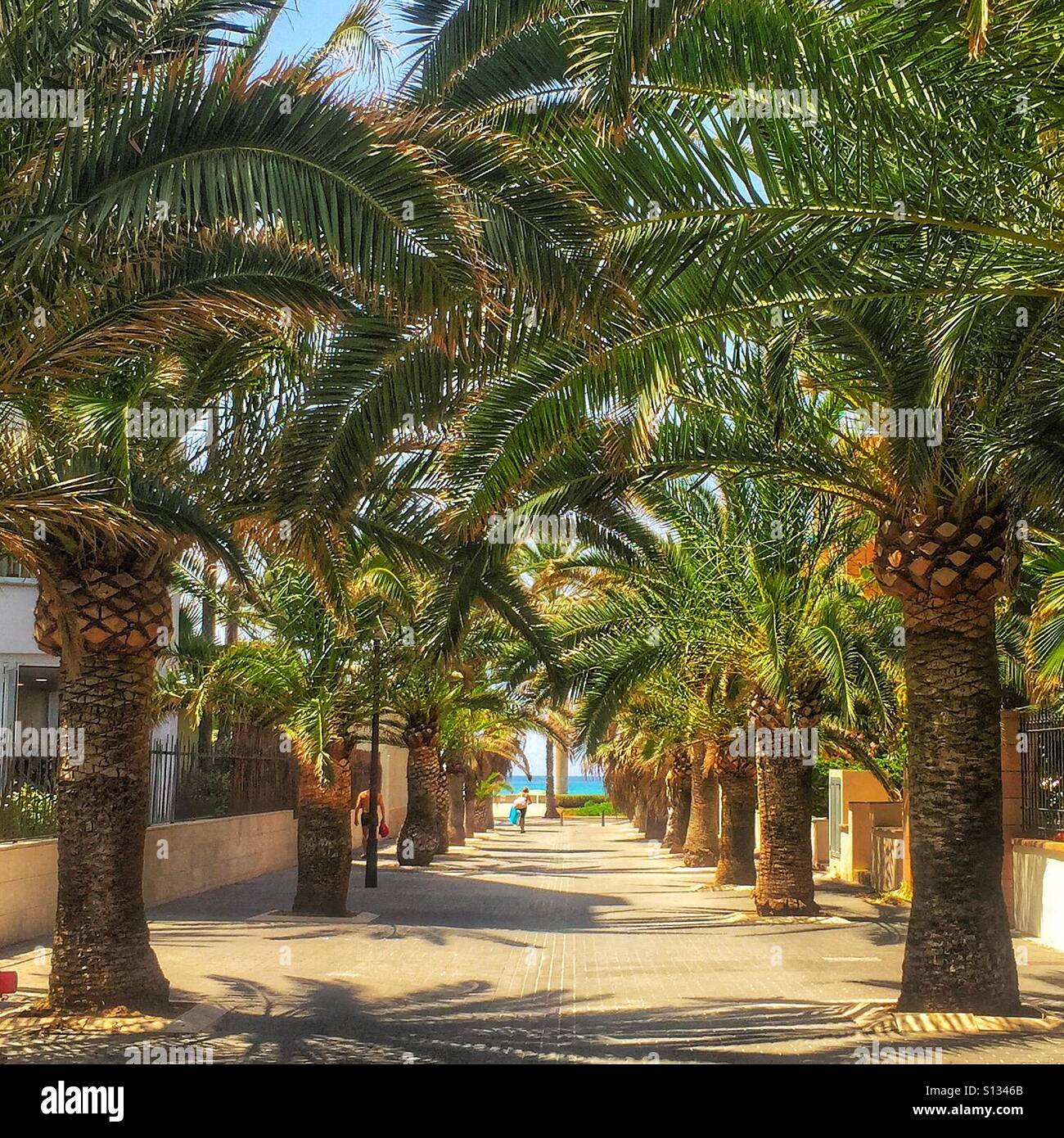 Palma de Mallorca, Spagna Foto Stock