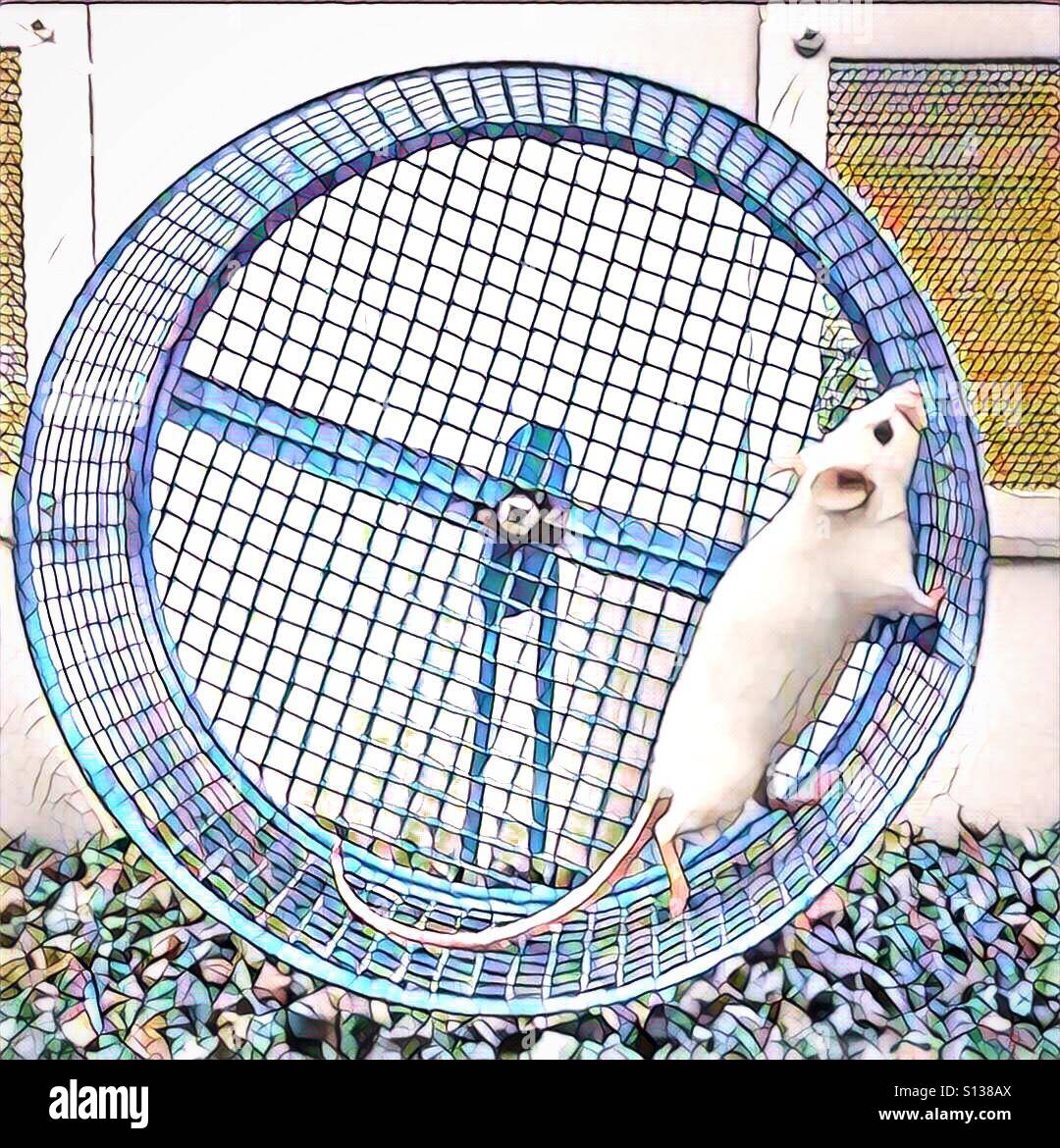 Un arte digitale immagine di un ratto bianco in esecuzione in una ruota Foto Stock