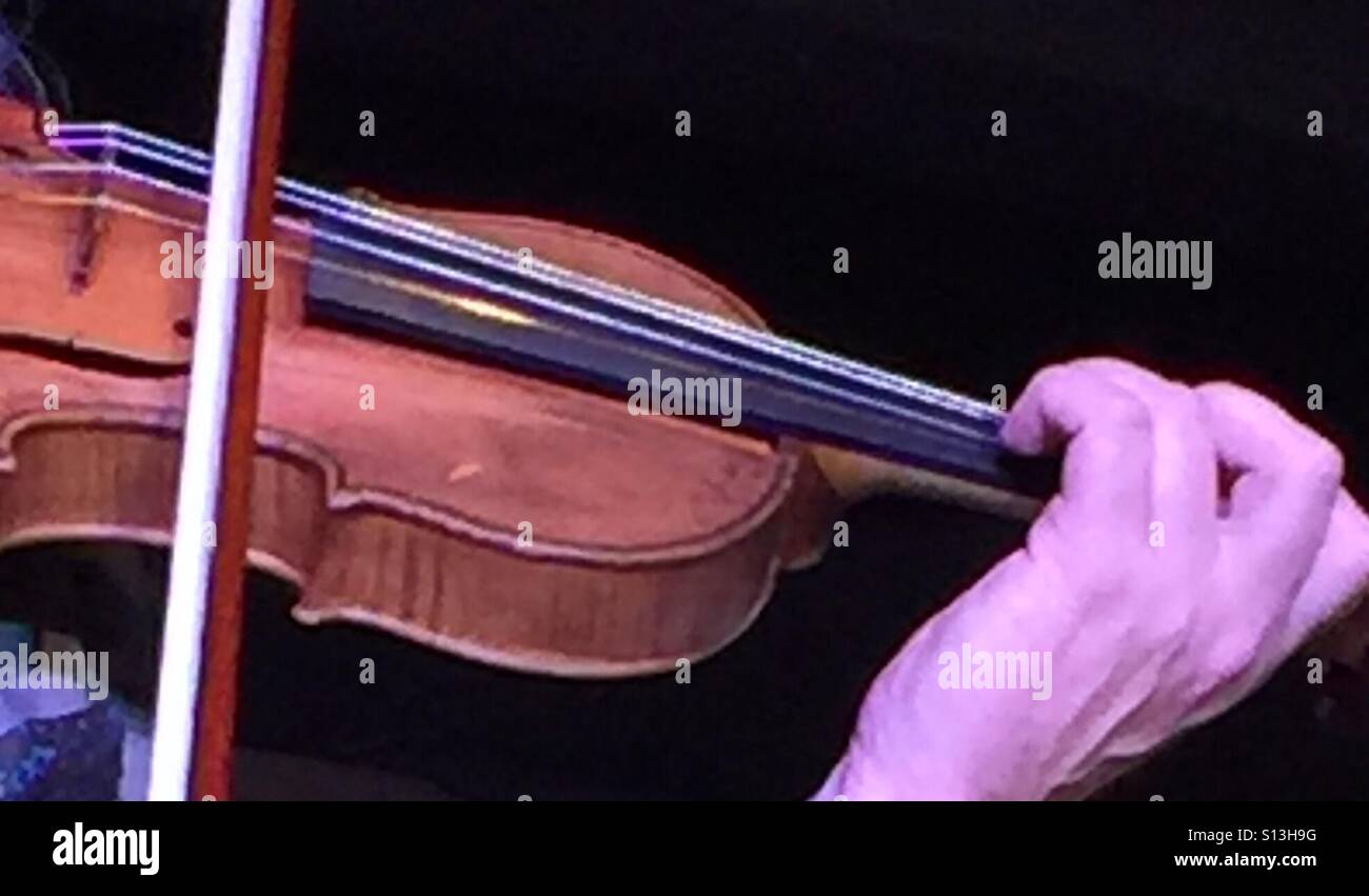 Giocatore del violino Foto Stock