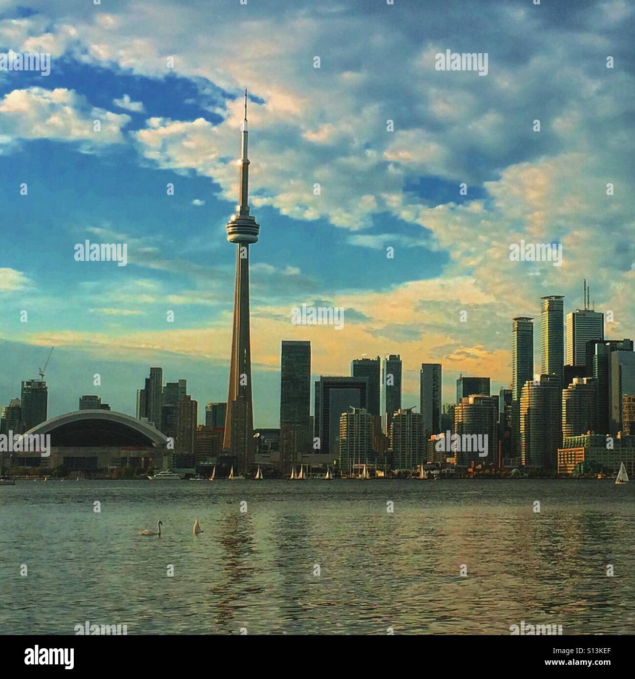 Orizzonte di Toronto Foto Stock