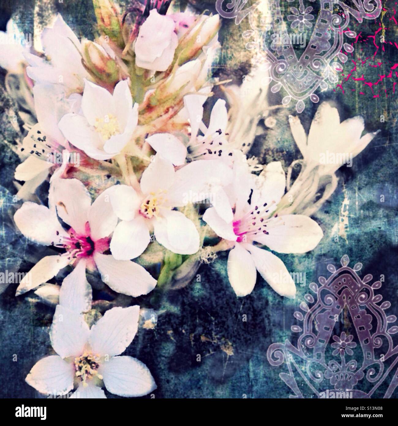 Indian, grunge, stile, mazzo di fiori, foto di iPhone e modificare grafici, con sfondo a trama e filtrata per effetto. Foto Stock