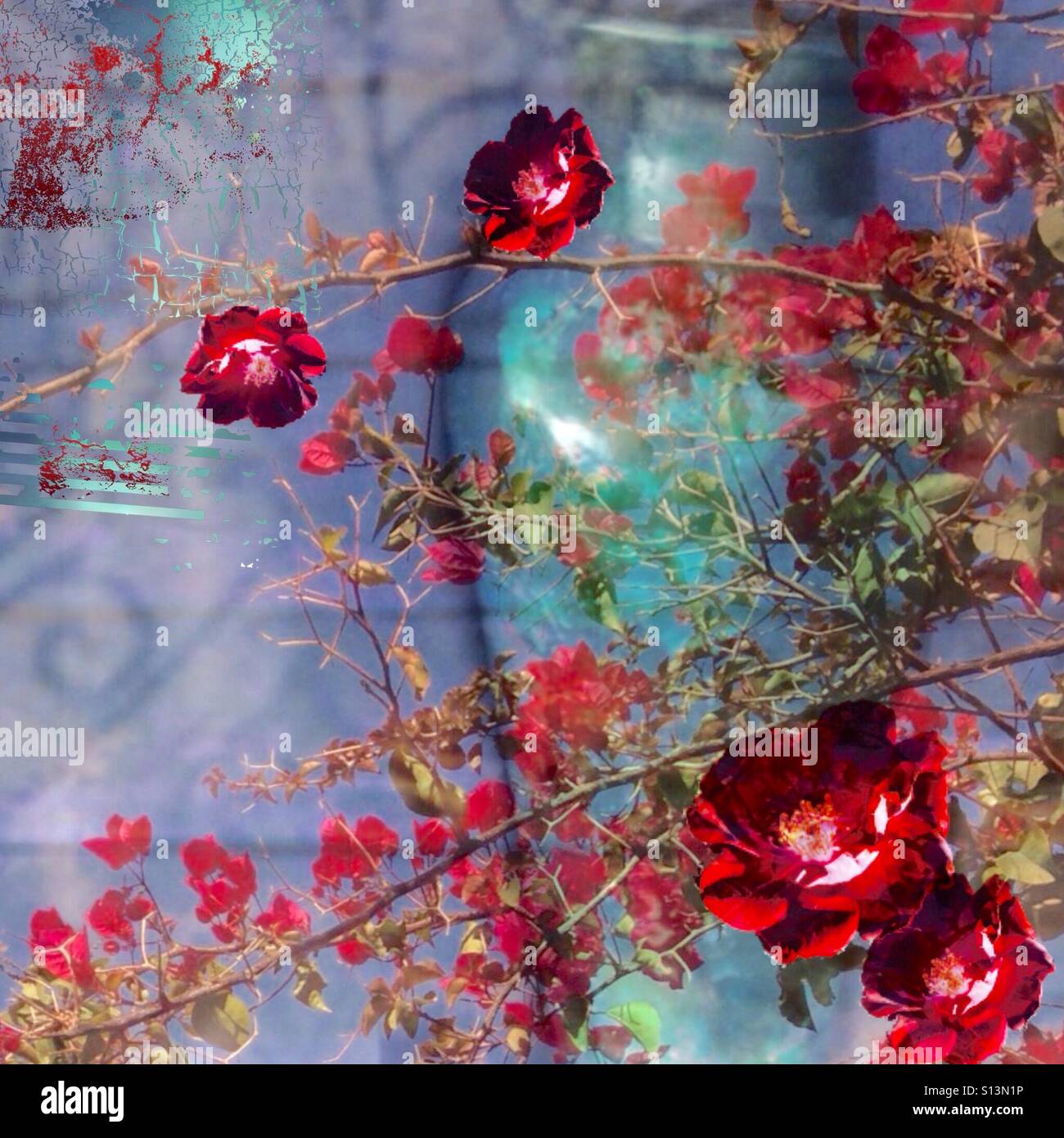 Sognante, stile francese, turchese e rosso, vigne e vaso, colore pallet, stratificati iPhone foto, immagine, arte, con filtrata ed effetto testurizzato Foto Stock