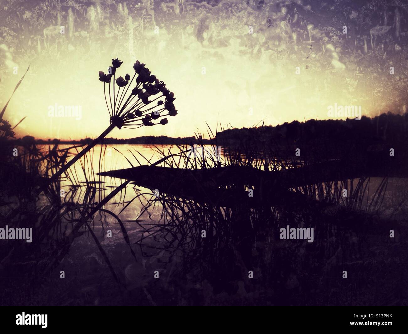 Tramonto sul fiume Foto Stock