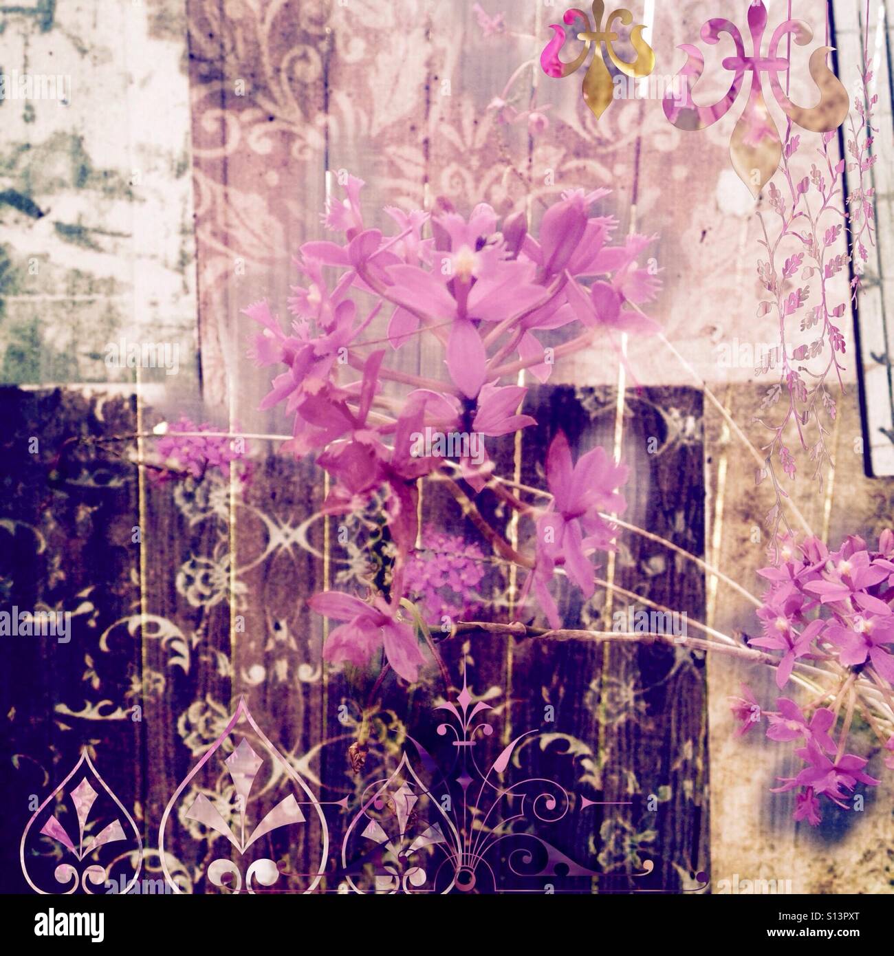 Shabby Chic, photo collage, petali di rosa, lilla, viola e tonalità di terra, grunge e a più livelli di grafica, effetto testurizzato Foto Stock