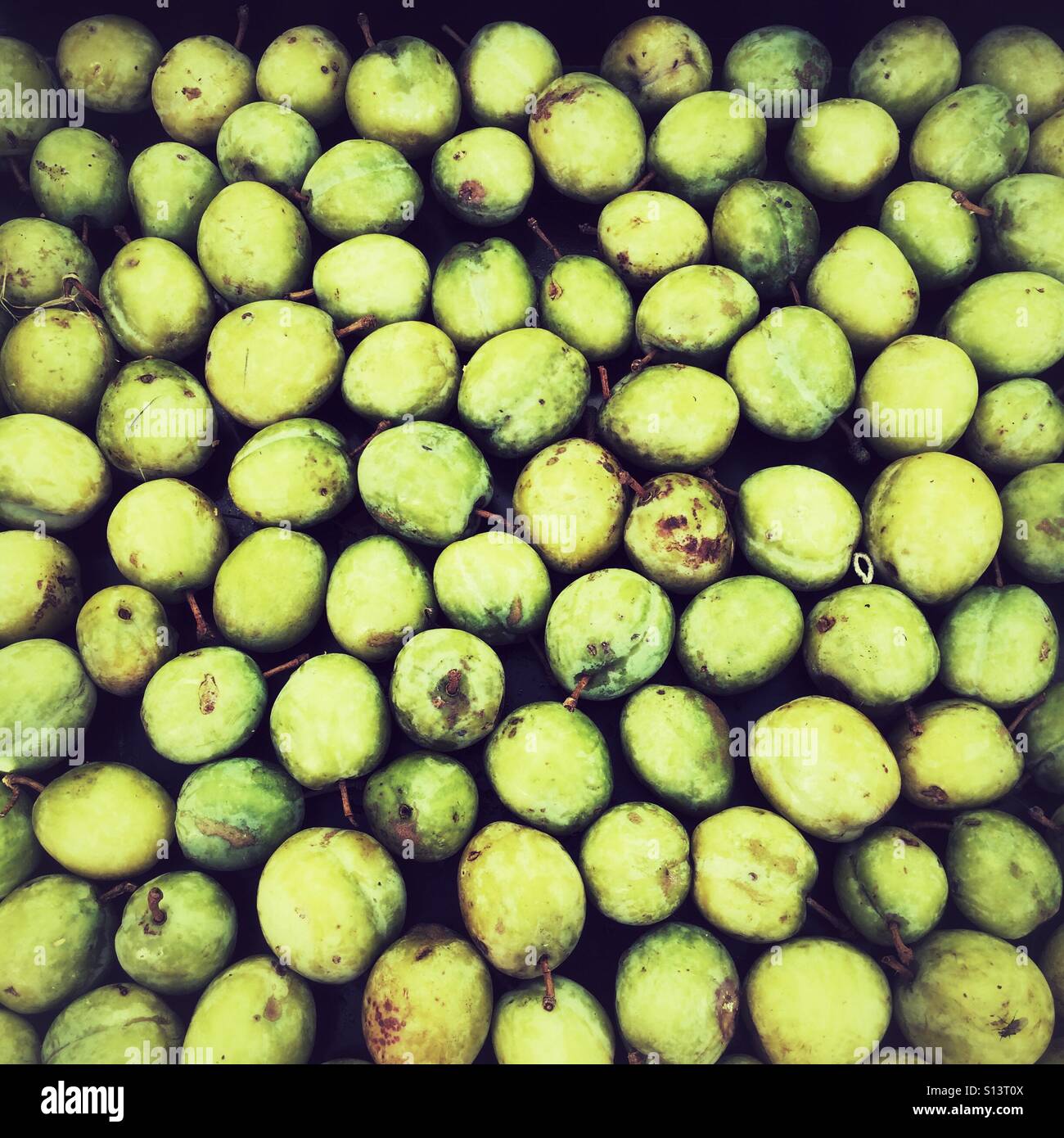 Inizio fiumi prugne - Immagine stock catturata con smartphone