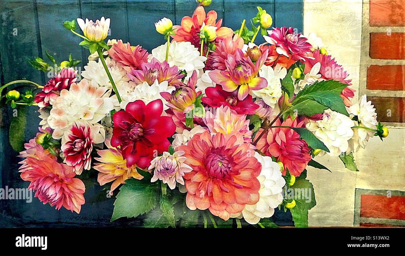 ...Bouquet Dahlia... - Immagine stock catturata con smartphone