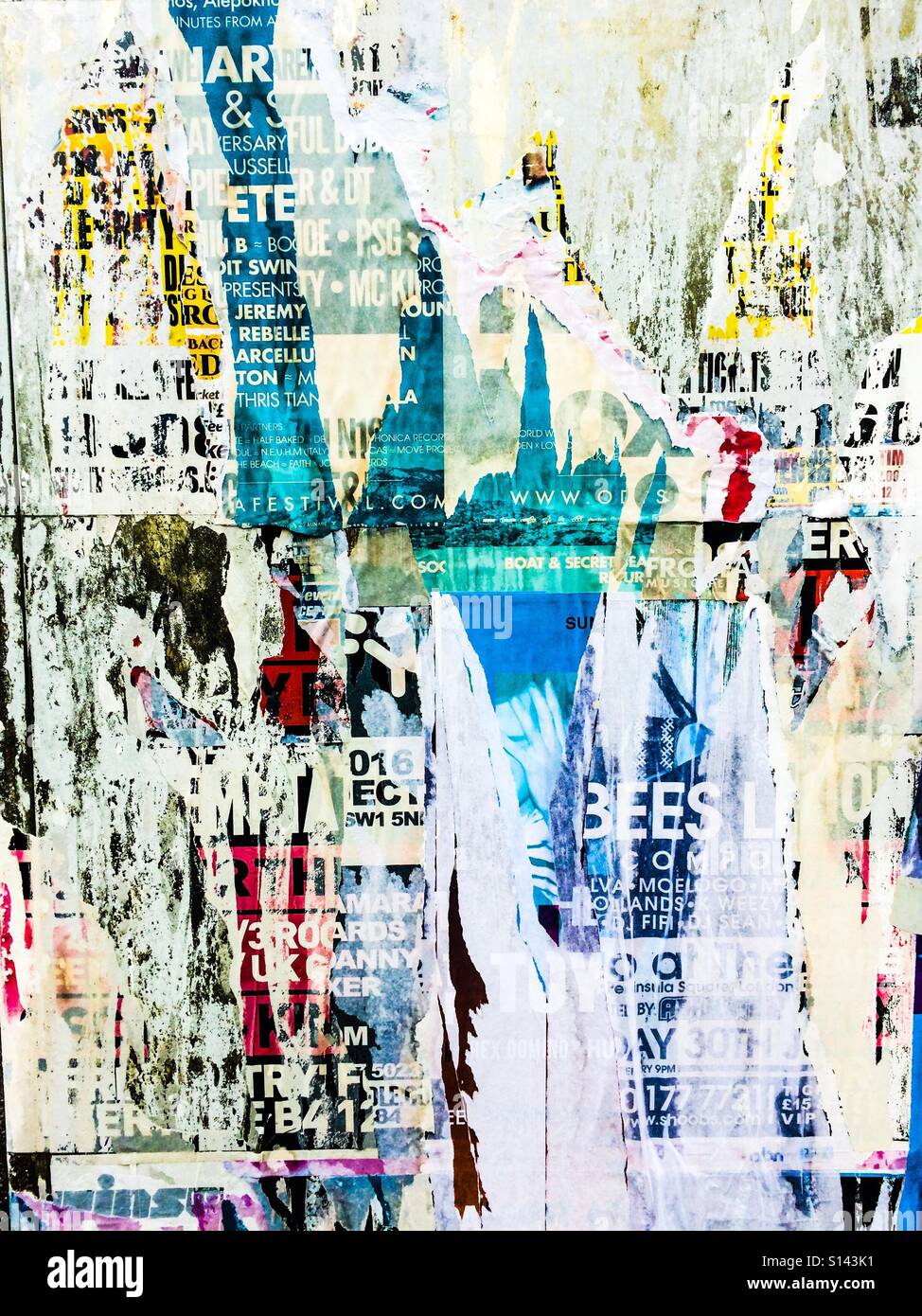 Shredded fly poster - Immagine stock catturata con smartphone