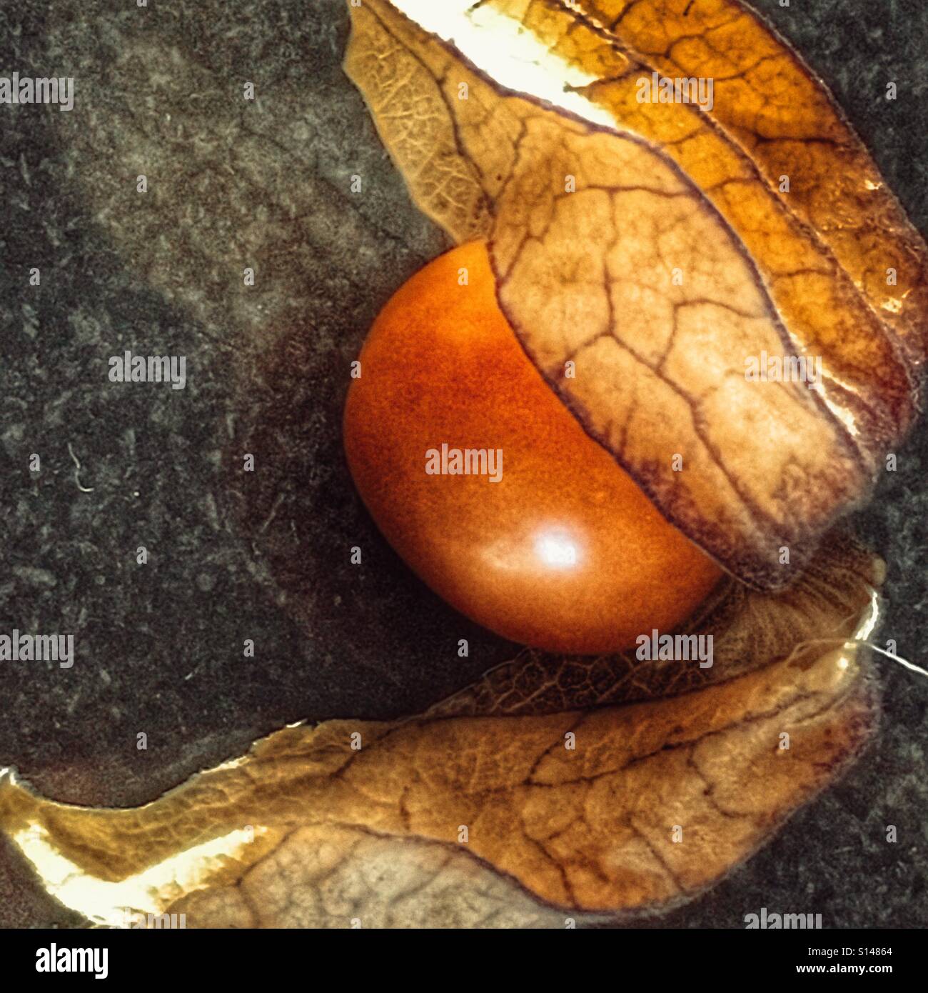 Cape gooseberry, physalis peruviana - Immagine stock catturata con smartphone