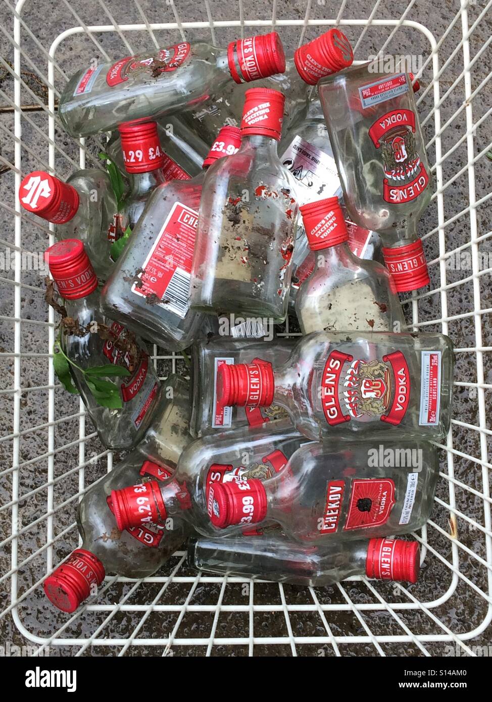 Bottiglie di vodka trovato durante la cancellazione di una siepe Foto Stock