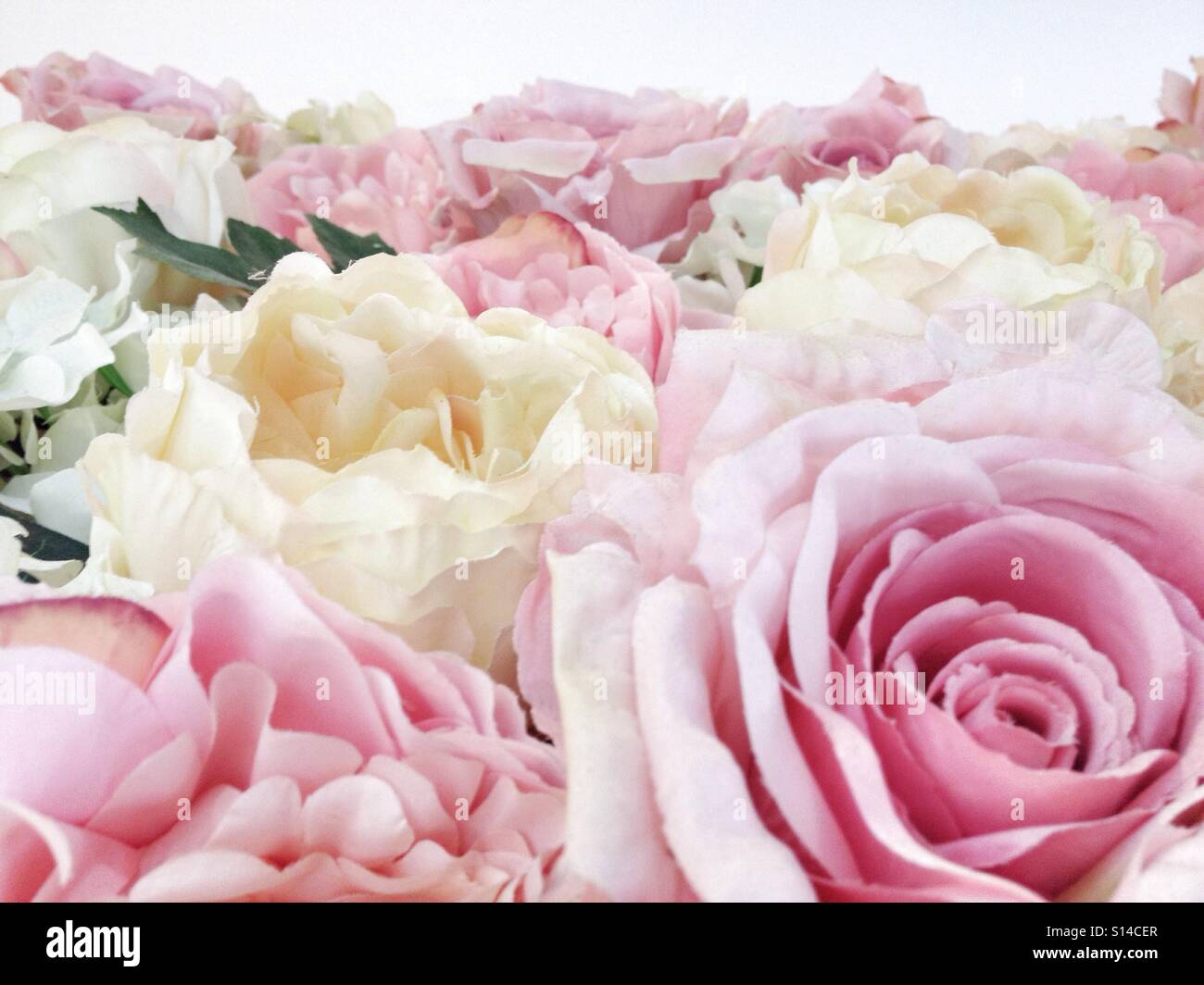 Bianco, Rosa, Peach rose e peonie composizioni floreali bouquet di fiori di colore pastello rilassante e calmante Foto Stock