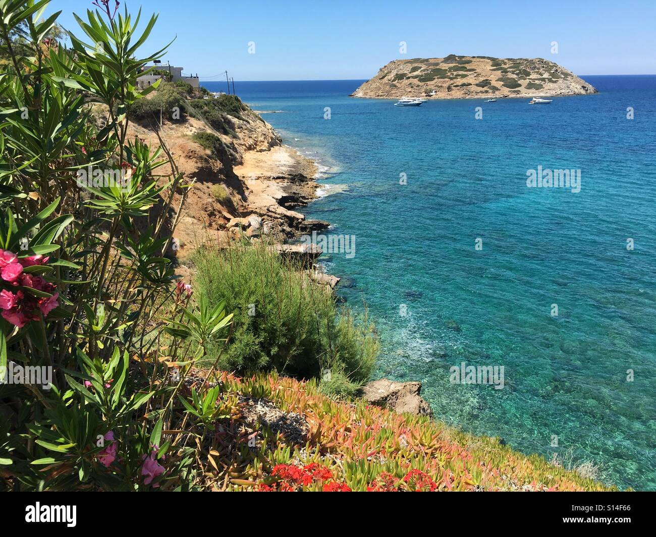 Mochlos, Creta, Grecia Foto Stock