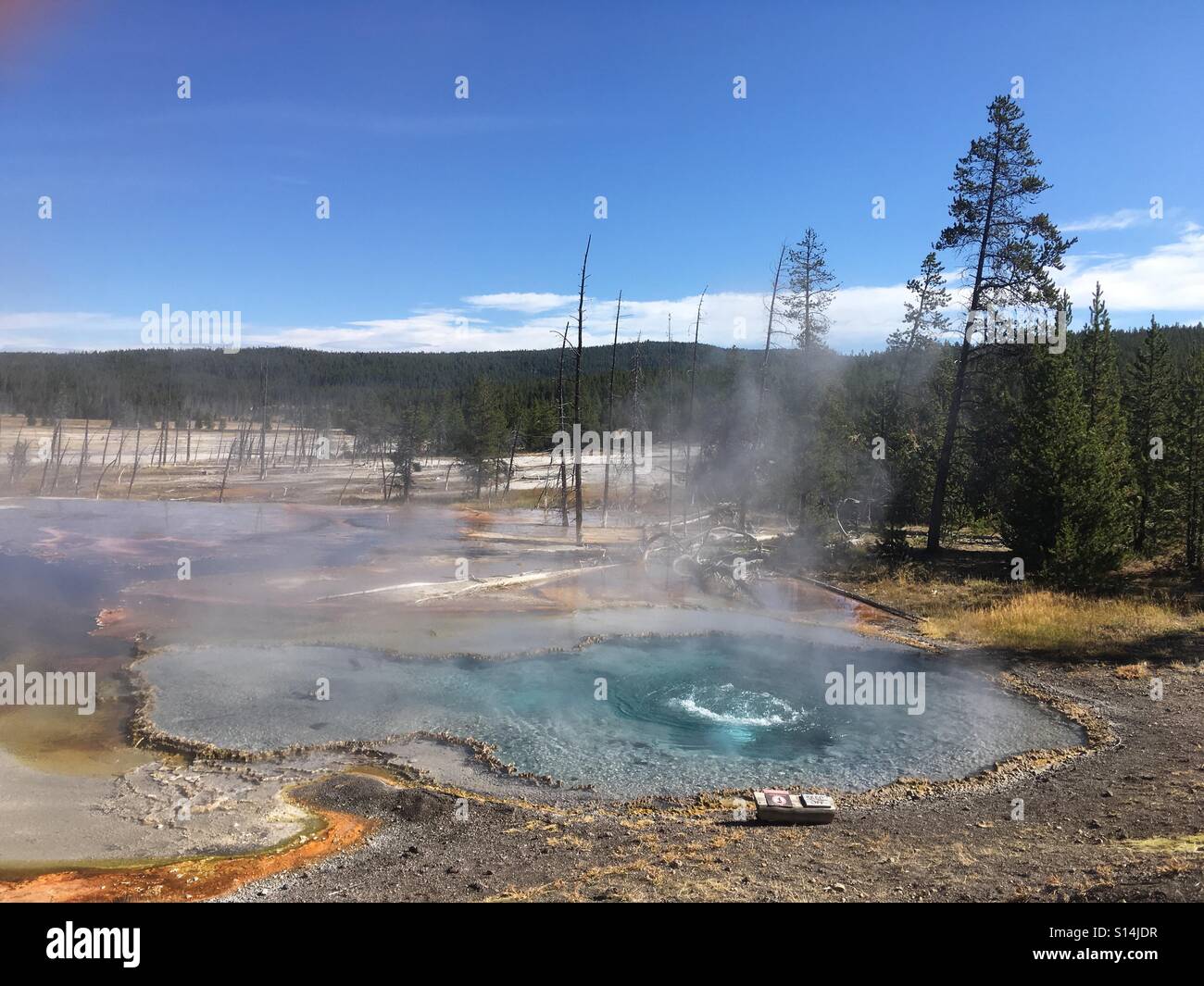 Geyser di Yellowstone Foto Stock