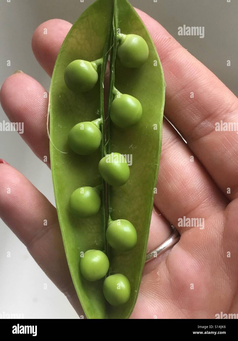 Alimenti - Immagine stock catturata con smartphone