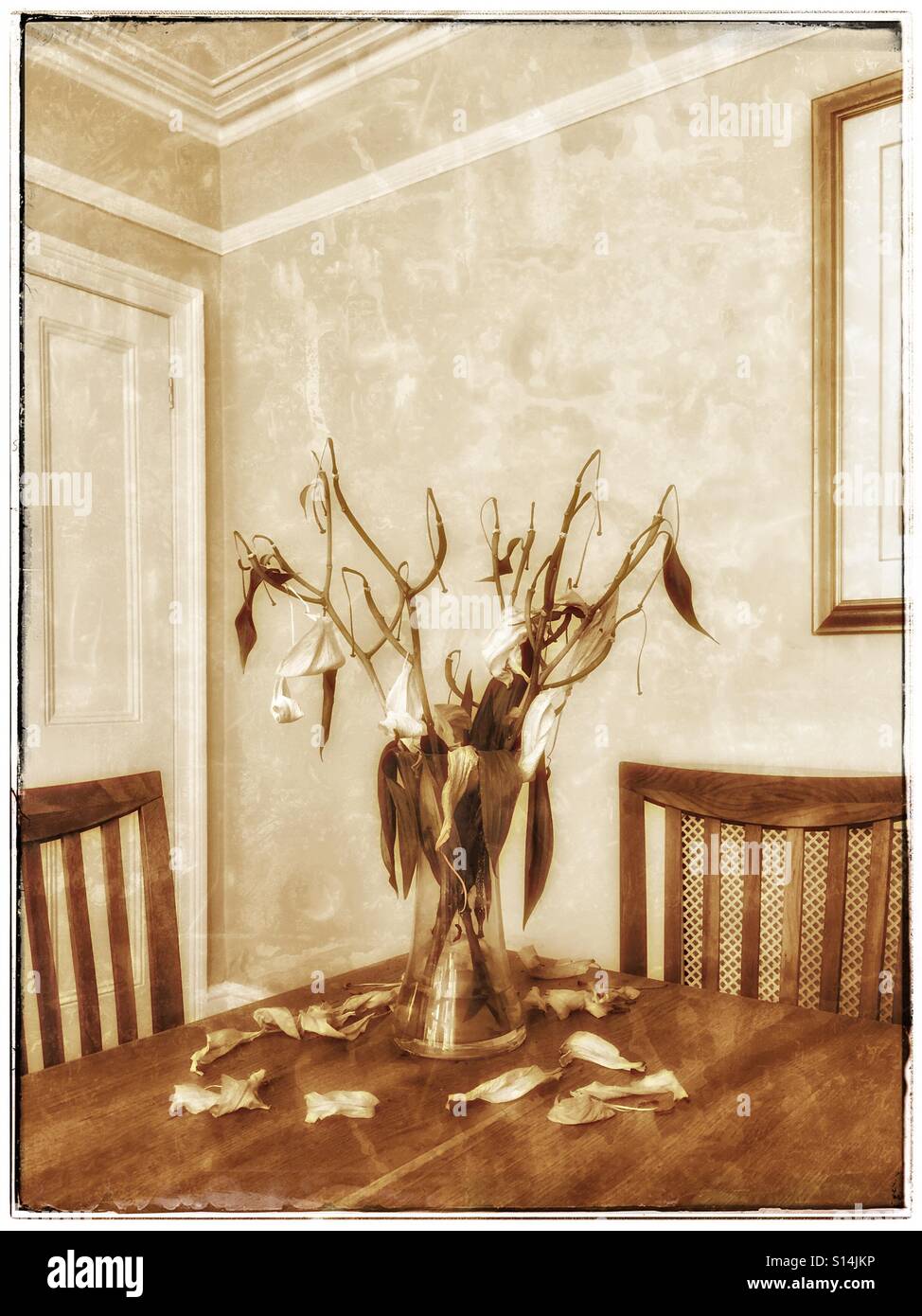 Un brillante effetto grunge immagine che mostra un vaso di morti e morenti bianco fiori Lilly. L'impostazione è la stanza in una casa di campagna - sulla parte superiore di un tavolo in legno e circondato da due sedie. © COLIN HOSKINS. Foto Stock
