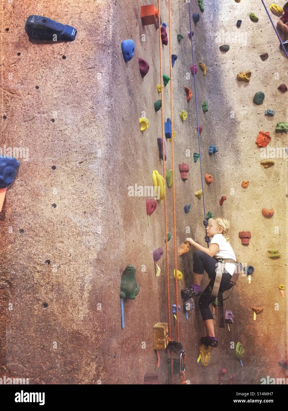 Ragazza giovane arrampicata indoor in palestra di roccia Foto Stock